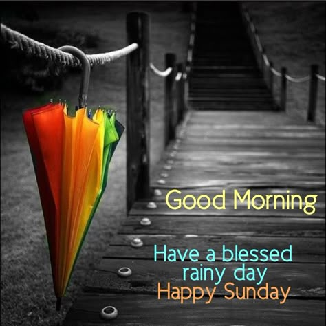 Rainy Sunday Morning Quotes, Rainy Sunday Quotes, Happy Rainy Sunday, Rainy Sunday Morning, Sunday Morning Images, Rainy Good Morning, Good Morning Rainy Day, Rainy Day Quotes, Week Blessings