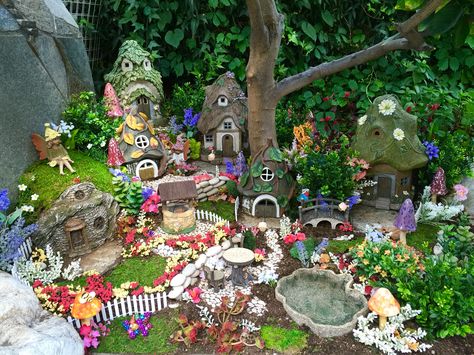 My gorgeous Fairy Garden. Thanks to my husband for helping me!!! Big Fairy Garden Ideas, Hobbit Fairy Garden, Large Fairy Garden Ideas, Fairy Town, Large Fairy Garden, Garden Dollhouse, Design Garden Ideas, Garden Town, Fairy Garden Pots