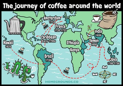 History of Coffee: Its Origin and How It Was Discovered History Of Coffee, Highlands Coffee, Coffee Around The World, History Subject, Coffee Infographic, Coffee Origin, Italy Coffee, Coffee History, Cash Crop