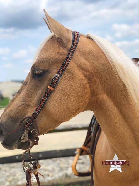 Western Bridle Headstall, Western Horse Riding, Headstalls For Horses, Western Headstall, Horse Showing, Cowboy Life, Western Bridles, Western Tack, Western Horse Tack