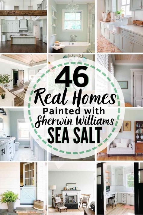 Sherwin Williams Sea Salt SW-6204 Is it the perfect paint shade for your home? Let's find out... Sherman Williams Sea Salt, Sea Salt Kitchen, Sw Sea Salt, Sherwin Williams Sea Salt, Sea Salt Paint, Coastal Paint Colors, Coastal Paint, Sea Salt Sherwin Williams, Paint Color Schemes