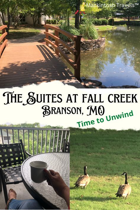 Need a place to stay in Branson, Missouri? Check this place out! It has something for every member of the family and more! Branson Missouri Vacation, Travel America, Fall Creek, Midwest Travel, Branson Missouri, Relaxing Places, The Nights, Stay The Night, America Travel