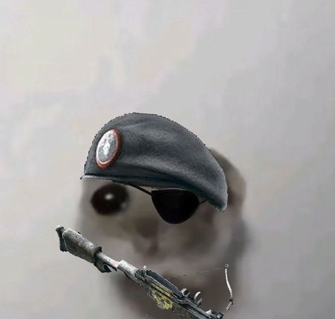 R6, rainbow six siege, pfp, profile pic, capitao, capitão Rainbow Six Siege Pfp, Siege Pfp, R6 Pfp, Hamster Meme, Rainbow 6 Siege, Rainbow Six Siege Art, Rainbow Six Siege, Horse Pictures, Animal Memes