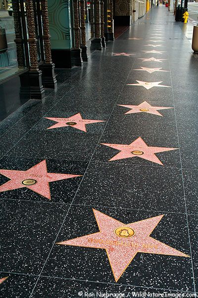 Hollywood Walk Of Fame Stars, Hollywood Party, California Travel Road Trips, California Love, California Dreamin', California Dreaming, Hollywood Walk Of Fame, Walk Of Fame, World Trade Center