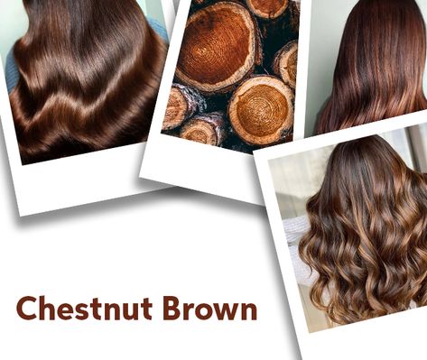 Chestnut Brown Hair Color Ideas & Formulas | Wella Professionals Hair Color Formulas Wella, Brown Sugar Hair, For Shiny Hair, Hair Formulas, Hair Color Brown Chestnut, Brown Hair Trends, Golden Brown Hair Color, Natural Brown Hair, Chestnut Brown Color