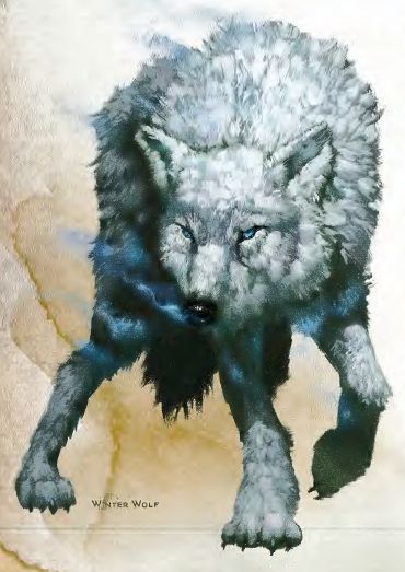 Direwolf Dnd, Storm Kings Thunder, Wolf Puppy, Winter Wolf, Icewind Dale, Winter Wolves, Street Fighter Art, D D Monsters, Werewolf Art