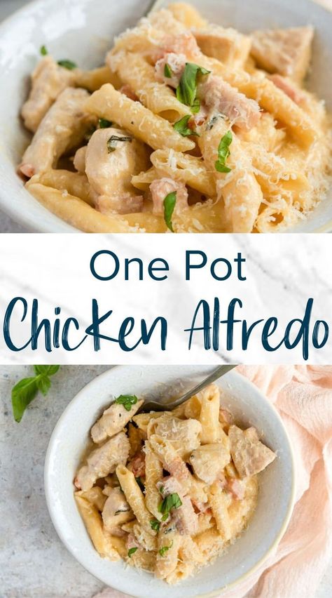 Easy Chicken Alfredo Recipe, One Pot Chicken Alfredo, Simple Chicken Alfredo Recipe, Easy Chicken Alfredo, Chicken Alfredo Recipe, Chicken Alfredo Recipes, Cookie Rookie, One Pot Chicken, Alfredo Recipe