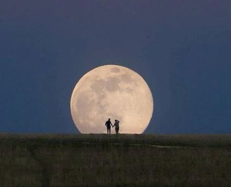 People Holding Hands, Fotografi Vintage, The Moon Is Beautiful, Look At The Moon, Moon Lovers, Camping Outfits, The Full Moon, 인물 사진, Patio Decor