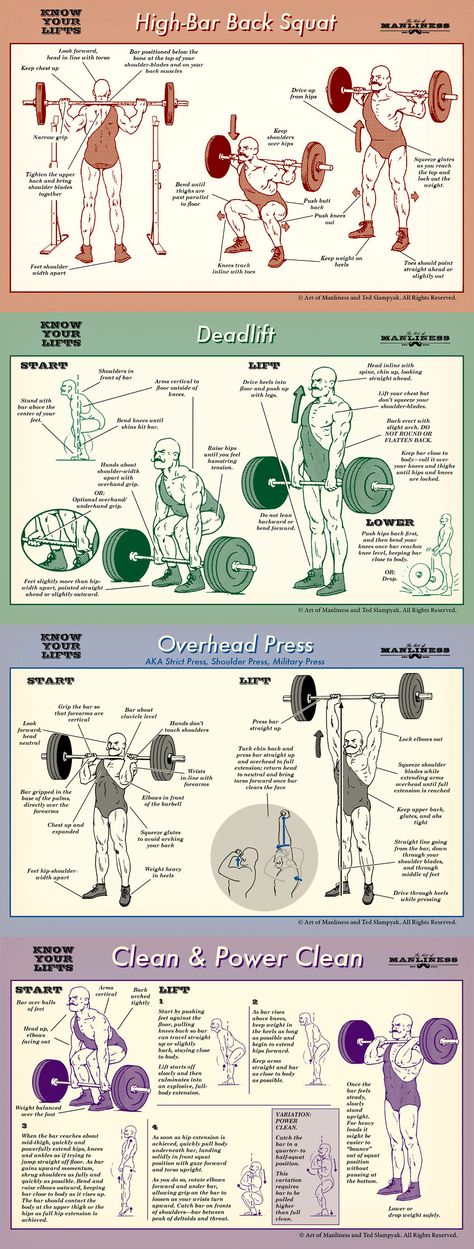 Know your lifts! Proper form for barbell squat, deadlift, overhead press and power clean. Wojskowy Humor, Fit Board, Trening Sztuk Walki, Barbell Squat, Power Training, Olympic Lifting, Fitness Ideas, Overhead Press, Power Clean