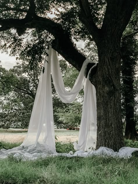 Wedding Tree Drapery, Arbor Drapery Wedding, Drapery In Trees Outdoor Weddings, Tree Drapery Wedding, Fabric Ceremony Backdrop, White Backdrop Wedding, Wedding Drapery Ideas, Backyard Wedding Aesthetic, Drapery Wedding