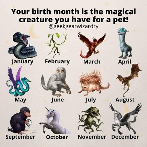 Fantastic Beasts Creatures, Spiritual Animal, Magical Creature, Fantastic Beasts And Where, April May, Harry Potter Fantastic Beasts, Birth Month, Spiritual Art, Fantastic Beasts