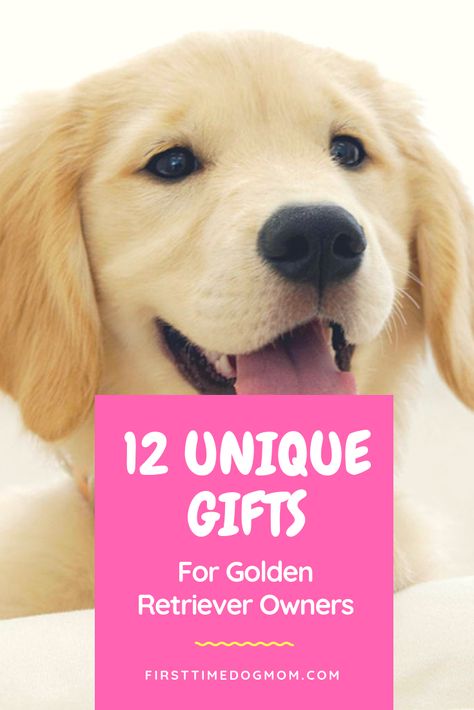 Dog Gifts Christmas, Golden Retriever Instagram, Diy Dog Gifts, Christmas Dog Gifts, Best Dog Gifts, Golden Retriever Owner, Golden Retriever Gifts, Fat Dogs, Dog Bowl Stand