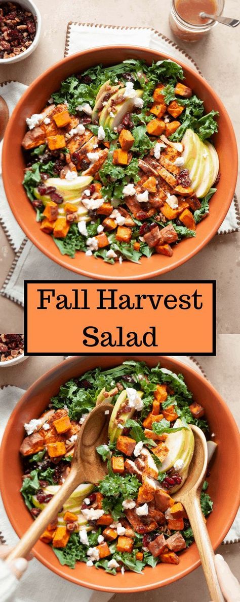 Fall Harvest Salad, Apple Cider Vinaigrette, Autumn Salad Recipes, Cider Vinaigrette, Harvest Salad, Sweet Potato And Apple, Autumn Salad, Ocean Spray, Salad With Sweet Potato