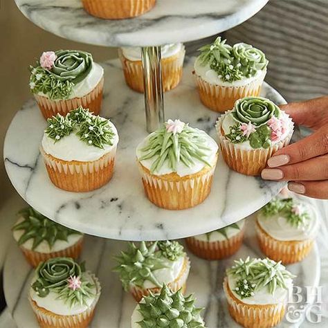 Succulent Cupcakes Easy, Cupcake Display Ideas, Succulent Cupcakes, Cactus Cake, Perfect Sugar Cookies, White Cupcakes, Cactus Party, Cupcake Display, Cupcake Tower