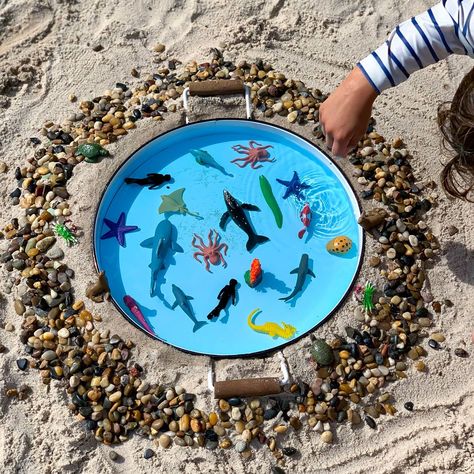 Preschool Sensory Play, Ocean Sensory Bin, Glitter Jars Diy, Sensory Bin For Toddlers, Preschool Set Up, Ocean Sensory, Sensory Activities For Preschoolers, Animals Activities, Preschool Sensory