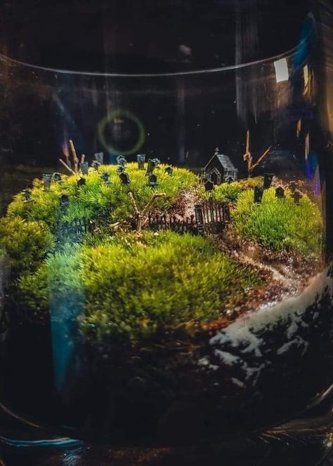 Spooky Fish Tank Ideas, Cemetary Terrarium Diy, Spooky Terrarium Ideas, Halloween Terrarium Ideas, Fall Terrarium Ideas, Terrarium Graveyard, Cemetery Terrarium, Halloween Fish Tank, Terrarium Halloween