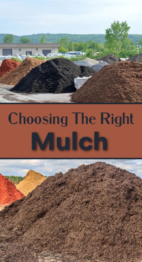 piles of different mulch Brick Herb Garden Ideas, Mulch Landscaping Ideas Around House, Garden Mulch Ideas Yard Landscaping, Flower Bed Mulch Ideas, Natural Mulch Landscaping, Dark Brown Mulch Landscaping, Alternatives To Mulch Landscaping, Best Mulch For Landscaping, Black Vs Brown Mulch