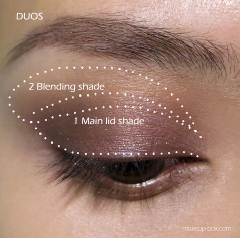 Applying 2 Colors Of Eyeshadow Nars Makeup Tutorial, Eye Shadow Application, Maquillage Yeux Cut Crease, Glasses Makeup, Nars Makeup, How To Apply Eyeshadow, Makijaż Smokey Eye, Eye Makeup Tips, Makeup Box