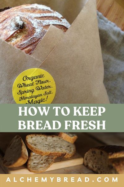 I've compiled the best ways to store homemade and artisan bread. Learn how to properly package, wrap, and store your homemade sourdough, focaccia, loafs, and baguette. This includes waste free packaging, how to freeze, and countertop storage. Store Homemade Bread, Bread Gifts, Sourdough Focaccia, Cottage Bakery, Baking For Beginners, Honey Wheat Bread, Home Bakery Business, Bread Packaging, How To Store Bread