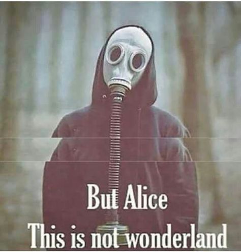 But Alice...!? Life Tumblr, Baba Jaga, The Boogeyman, Anais Nin, Vintage Typography, Gas Mask, Dark Aesthetic, Dark Art, Writing Prompts