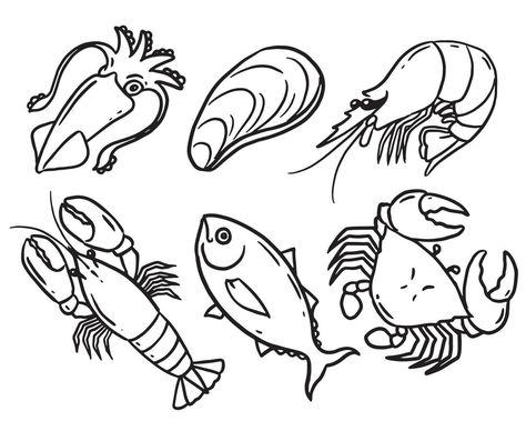 Seafood Drawing, Fresh Seafood, Drawing Set, Vector Art, Seafood, Vector Free, Royalty Free, Clip Art, Drawings