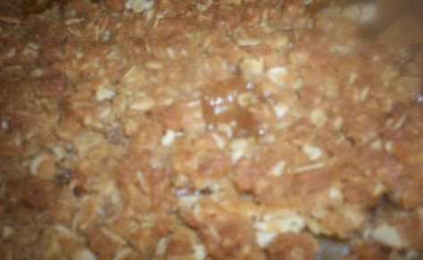 Dehydrated Apples Recipe, Sloppy Joe Seasoning, Apple Sweets, Dehydrator Recipes Fruit, Honey Chicken Thighs, Sloppy Joe Mix, Pumpkin Pecan Cobbler, Instant Meals, Dehydrated Apples