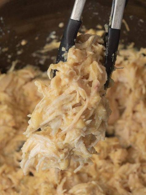 Hot Shredded Turkey Sandwiches, Keto Shredded Chicken Sandwiches, Ohio Creamed Chicken Sandwiches, Cream Chicken Sandwich Crockpot, Instant Pot Shredded Chicken Sandwiches, Ohio Shredded Chicken Sandwiches 12 Tomatoes, Ohio Shredded Chicken Sandwich Recipes, Ohio Chicken Sandwich Recipes, Shredded Meat Sandwiches