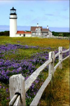 Cape Cod Lighthouses, Yankee Doodle, Lighthouse Photos, Lighthouse Pictures, Beautiful Lighthouse, Truro, Light House, Beach Cottages, Pretty Places