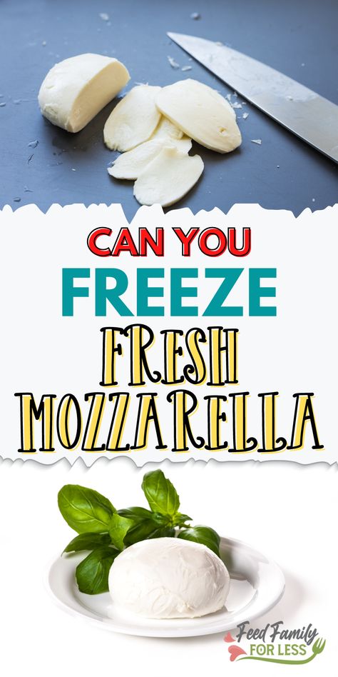 Fresh Mozzarella Cheese Recipes, Fresh Mozzarella Ideas, Freeze Cheese, Recipes Using Fresh Mozzarella, What To Make With Fresh Mozzarella, Fresh Mozzarella Uses, Recipes Using Fresh Mozzarella Cheese, Recipes With Fresh Mozzarella Cheese, Fresh Mozzarella Recipes