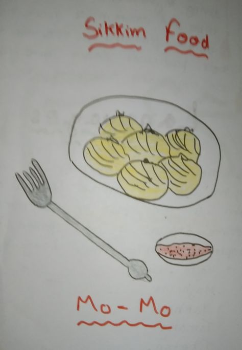 MO MO EAT BY SIKKIMESE PEOPLE Sikkim Food Drawing, Sikkim Food, Food Drawing, Easy Drawings, Drawings