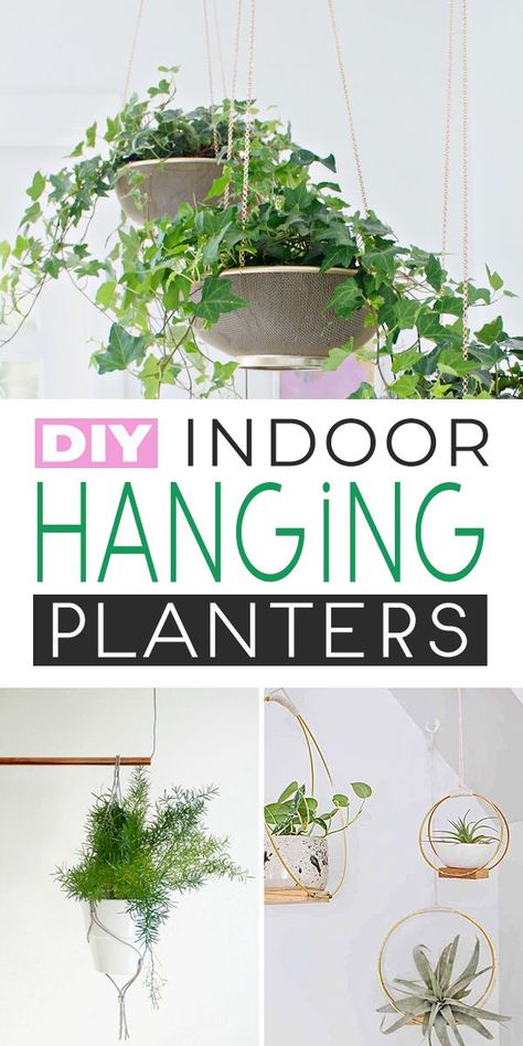 Diy Hanging Planters, Diy Hanging Planter, Hanging Wall Planters, Wall Planters, Hanging Planters Indoor, Hanging Plants Indoor, Creative Gardening, Gardening Advice, Diy Garden Projects