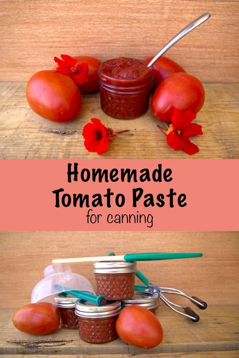 Homemade Tomato Paste for Canning - Golden Thyme Homestead Make Tomato Paste, Fresh Tomato Sauce Recipe, Homemade Tomato Paste, Tomato Paste Recipe, Chili Pot, Quick Pickled Red Onions, Garden Tomatoes, Quick Pickled, Tomato Pasta Sauce