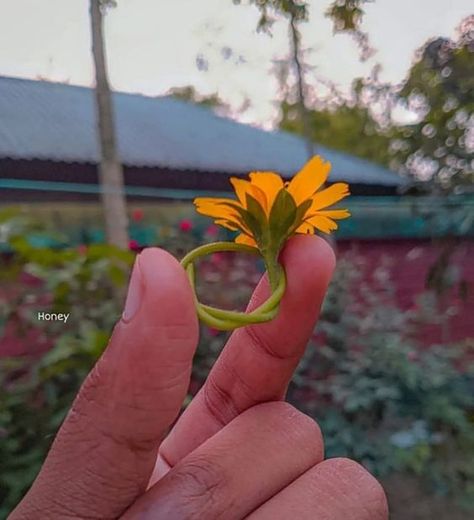 Guy Holding Flowers, Night Walking Aesthetic, Groom Cartoon, Bride And Groom Cartoon, Nature Photography Quotes, South Asian Aesthetic, Snap Streak Ideas Easy, Instagram Creative Ideas, Art Village