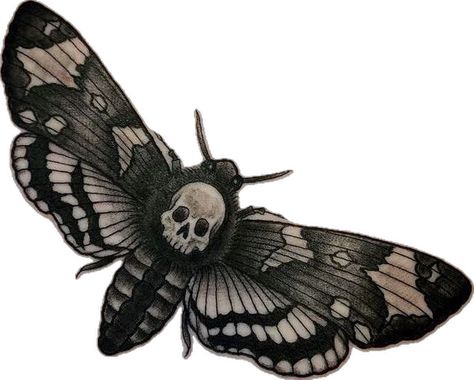 Deathhead Moth Tattoo, Goth Scrapbook, Moths Aesthetic, Goth Moth, Goth Butterfly, Moth Sticker, Agenda Stickers, Artsy Background, Bug Tattoo