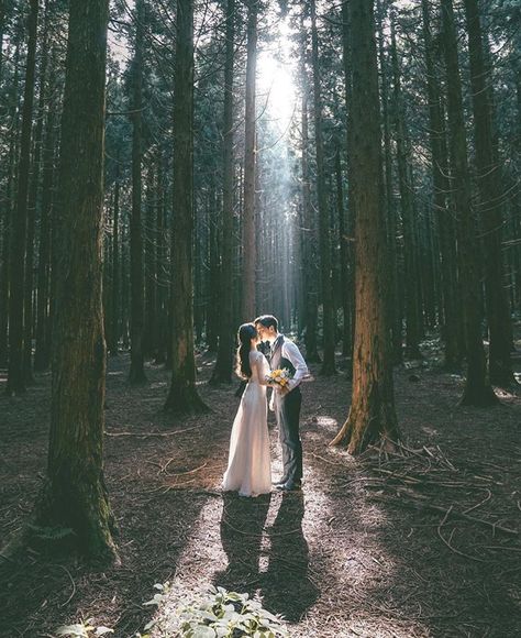 Pine Forest Wedding Photography, Pre Wedding Photoshoot In Forest, Forest Prenup Ideas, Forest Prenup Shoot, Fairytale Prenup Shoot, Pre Wedding Shoot Ideas Forest, Forest Pre Wedding Photoshoot, Simple Prewedding Photoshoot Outdoor, Chair In Woods Photoshoot