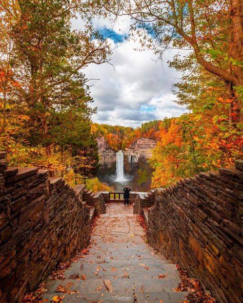 Taughannock Falls State Park In... - Awesome Places To Travel Fall Photo Shoots, Taughannock Falls, New York State Parks, Best Place To Visit, Photography Places, Travel New York, Park In New York, Fall Photo, Scenic Byway