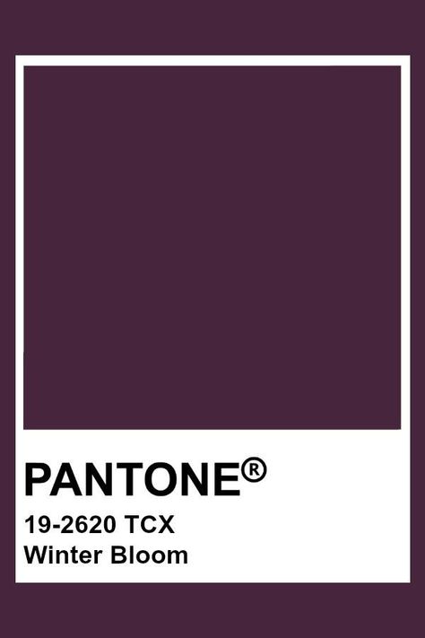 Pantone Plum, Plum Paint, Pantone Tcx, Pantone Color Chart, Blackberry Wine, Pantone Swatches, Grape Wine, Pantone Palette, Pantone Colour Palettes