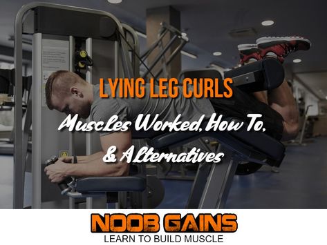 Lying Leg Curls: Muscles Worked How To & Alternatives Coil Machine, Trx Straps, Leg Curl Machine, Lying Leg Curls, Swiss Ball, Short Workouts, Hamstring Curls, Leg Curl, Kettlebell Swings