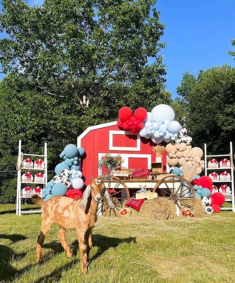 Farm 1st Birthday Party, Farm 1st Birthday, Animal Party Hats, Barn Birthday Party, Barnyard Theme, Farm Themed Party, Barnyard Birthday Party, Farm Theme Birthday, Farm Animal Party