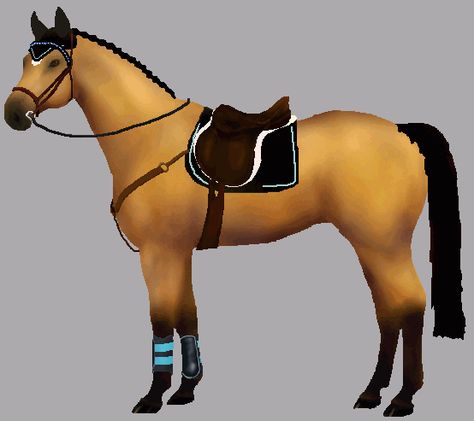 Design your own horse and dress it up with different pieces of tack to see what colour looks best. Read the instructions at the top of the page before starting. This picture is just a sample of what you can create. Lots more horsemakers to try too: western, eventing, show colours, etc. Horse Tacked Up, Eventing Dressage, English Horse Tack, Percheron Horses, Hunter Horse, Cartoon Horse, Barrel Racing Saddles, English Horse, Western Tack