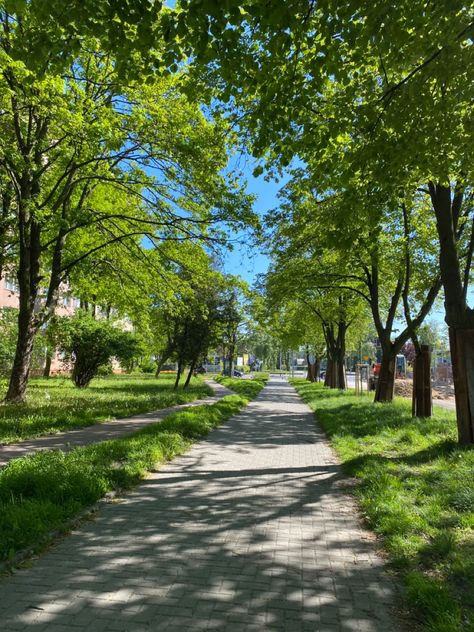 #citypark #park #aesthetic #green #tree #walk Stroll In The Park, Spring Park Aesthetic, City Walking Aesthetic, Walkable City Aesthetic, Park Green Aesthetic, Park Astethic, Green Park Aesthetic, City Park Aesthetic, Dream Neighborhood