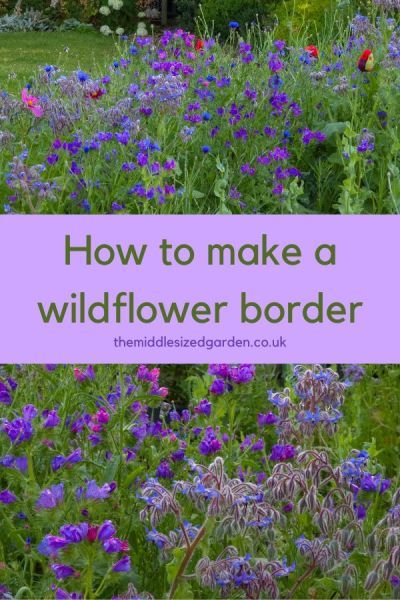 Wildflower Lawn Border, Modern Wild Garden, Wildflower Yard Ideas, Backyard Wildflower Garden Flower Beds, Cottage In A Meadow, Wildflowers Under Trees, Wildflowers In Yard, Perennial Wildflower Garden, Wild Flower Backyard