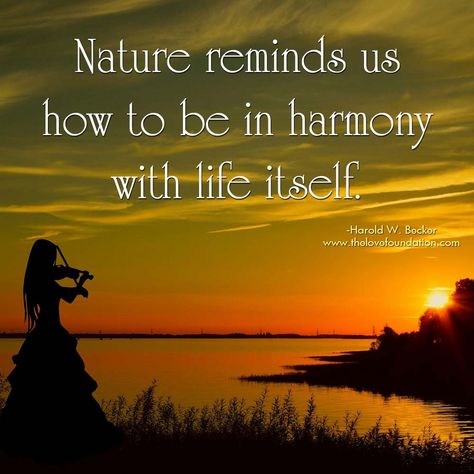 Nature reminds us how to be in harmony with life itself.-Harold W. Becker #UnconditionalLove Roots Quotes, Human Nature Quotes, Harmony Quotes, Mindful Travel, Mother Nature Quotes, Wild Women Sisterhood, Earth Quotes, Retreat Ideas, Lead Generation Marketing