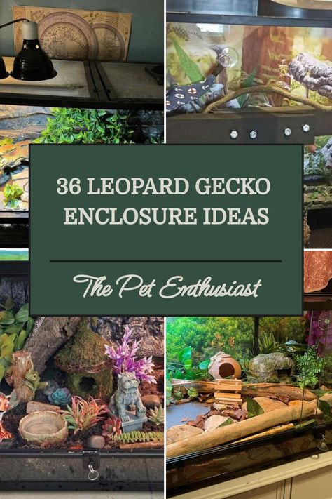 Are you looking for ideas to build your first leopard gecko tank? We put together excellent ideas for both new and advanced owners. Leopard Gecko Accessories, Reptile Terrarium Ideas Diy, Toad Enclosure Ideas, Leaped Gecko Tank Set Up, Leopard Gecko Vivarium Ideas, Remi Lebeau, Bioactive Leopard Gecko Tank, Cute Leopard Gecko Tank Ideas, Leopard Gecko Enclosure Ideas