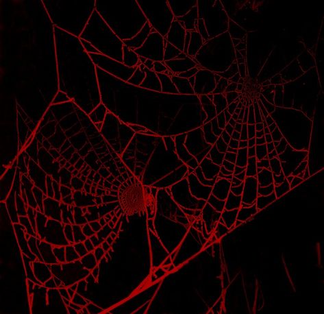 Red And Black Cybercore, Spotify Playlist Covers Red And Black, Red And Black Metal Aesthetic, Black And Red Gothic Aesthetic, Red Spider Icon, Black And Red Widget Aesthetic, Red Emo Widgets, Red Black Aesthetic Icon, Alternative Widgets