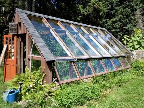 south-facing passive solar greenhouse design.  the north wall is built of their beloved stone, and acts as a passive solar collector storing... Passive Greenhouse, Passive Solar Greenhouse, Aquaponics Greenhouse, Greenhouse Farming, Solar Greenhouse, Greenhouse Shed, Greenhouse Plans, Passive Solar, Diy Greenhouse