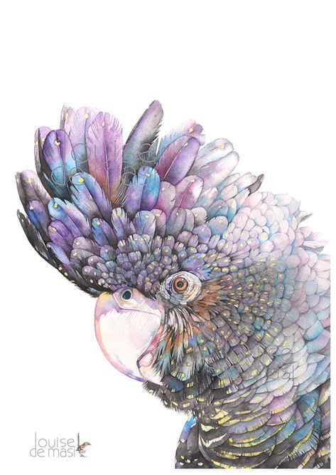 Louise Demasi, Cockatoo Painting, Parrot Art, Birds Parrots, Black Cockatoo, Marvel Drawings, Australian Birds, A3 Size, Bird Drawings