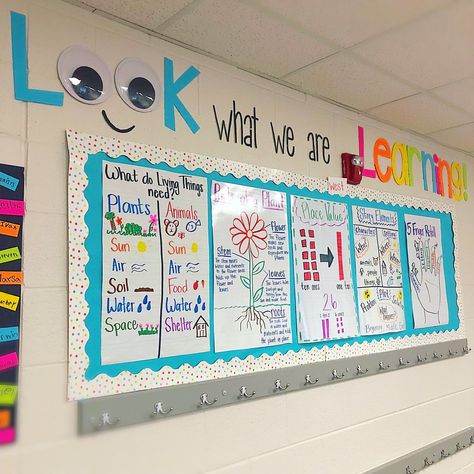 My favorite way to display anchor charts Kindergarten Classroom Rules, Anchor Chart Display, Kindergarten Anchor Charts, Classroom Charts, Kindergarten Prep, Classroom Anchor Charts, Classroom Procedures, Elementary School Classroom, School Displays