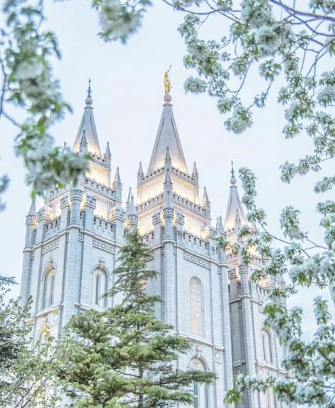 Temple Lds Aesthetic, Lds Wedding Photos, Lds Temple Wallpaper Aesthetic, Salt Lake Temple Wallpaper, Salt Lake City Temple Wallpaper, Salt Lake Temple Wedding, Salt Lake City Temple Wedding, Lds Temple Art, Lds Temple Pictures