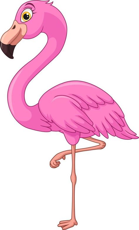 Cartoon flamingo on white background Flamingo Profile Picture, Flamingo Bird Drawing, Flamingos Art Illustration, Flamingo Birthday Theme, Flamingo Printables, Flamingo Photos, Flamingo Images, Flamingo Projects, Flamingo Clip Art